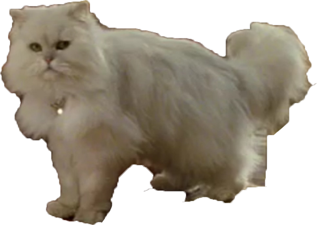 File:Snowbell.png