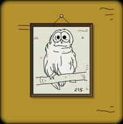 Owl.jpg