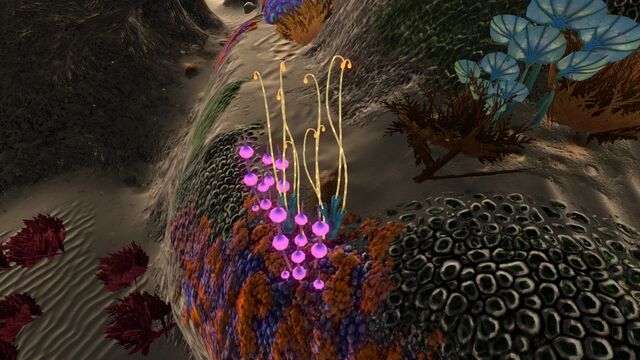 File:BlueCoralTubes03.jpg