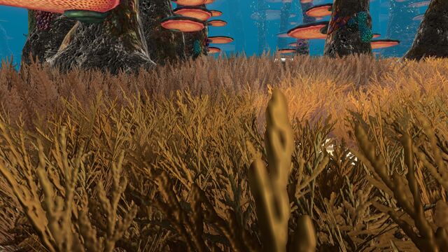 File:Mushroom Forest (4).jpg