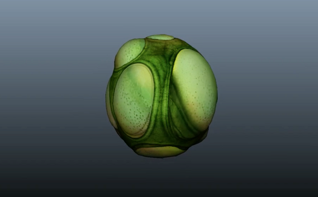File:Subnautica egg1.png