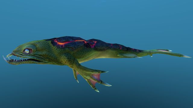 Файл:Lava Lizard 010.jpg
