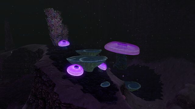 File:JellyShroom03.jpg