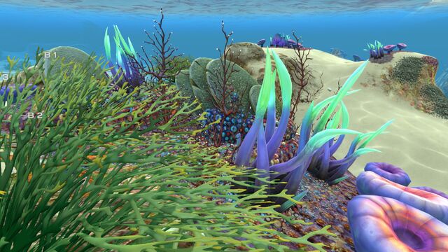 File:Safe Shallows (24).jpg