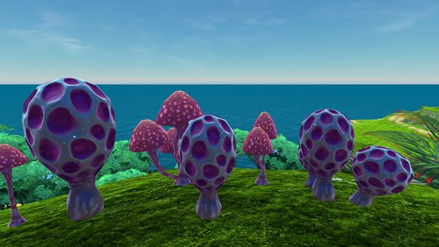 File:Floater Island (20).jpg