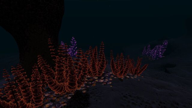 File:Big Underwater Islands (6).jpg