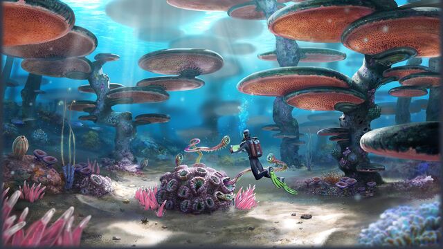 Файл:Biome-mushroom-forest.jpg