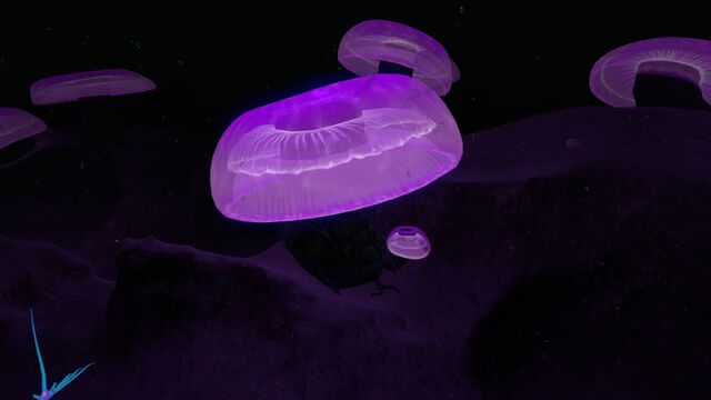File:JellyShroom01.jpg