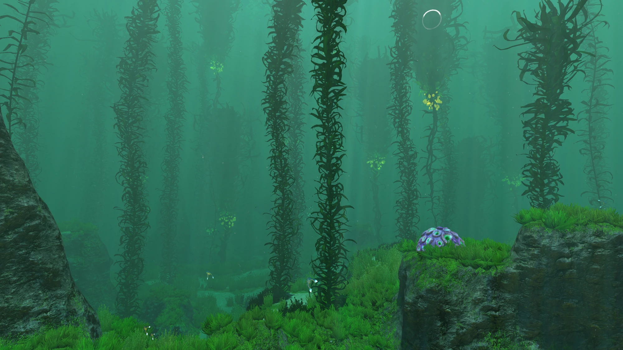 CategoryKelp Forest Subnautica Wiki FANDOM powered by Wikia