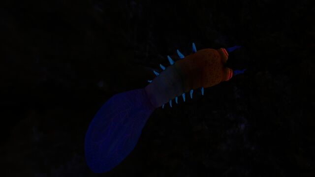 File:Bleeder (4).jpg