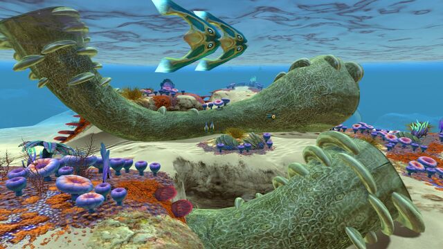 File:Safe Shallows (14).jpg
