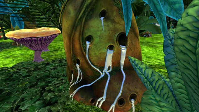 File:Floater Island (22).jpg