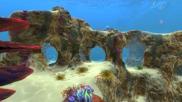 File:Safe Shallows (9).jpg