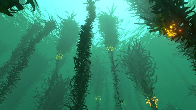 File:Life-form creepvine.jpg