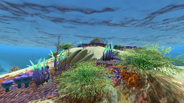 File:Safe Shallows (20).jpg