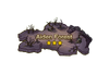 Aiden Forest Map