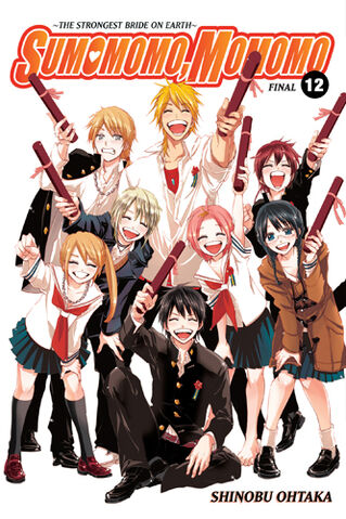 File:Volume 12.jpg