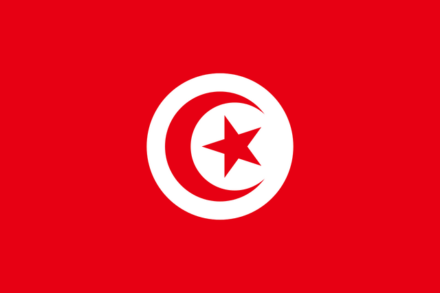 File:Flag of Tunisia.svg.png