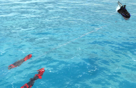 Slivers submerged insitu