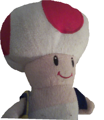 File:Toad PNG.png