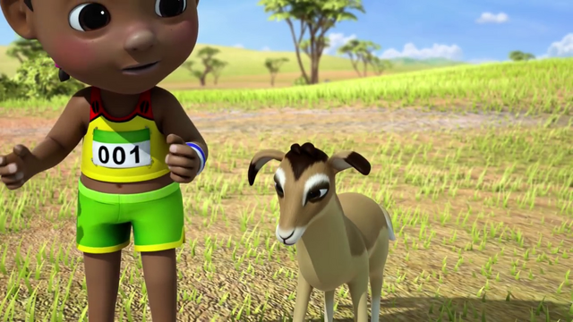 File:Wildebeest15.png
