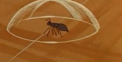 Fire ant
