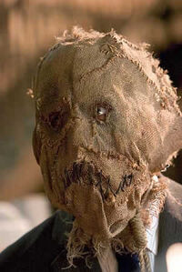 Scarecrow 08