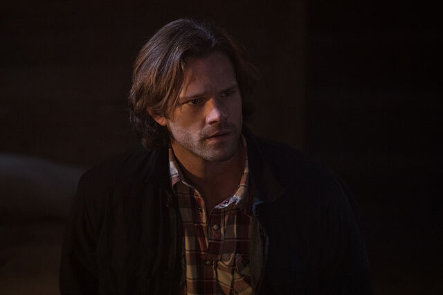 File:American Nightmare 09.jpg