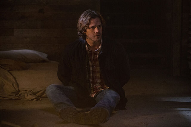 File:American Nightmare 07.jpg