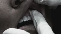 SPN 0182890.jpg