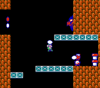 Birdo SMB2