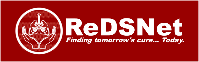 File:ReDSNet 1.png
