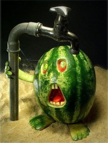 File:Parchedwatermelon.jpeg