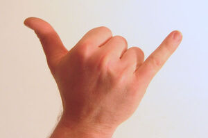 Shaka sign