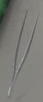 Tweezers