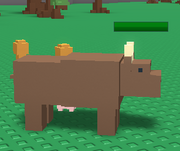 Cow