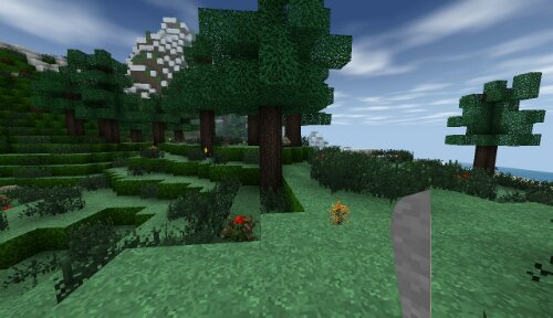 File:Trees.jpg