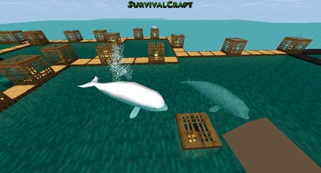 File:Survivalcraft 2015-01-11 08-45-14-.jpg