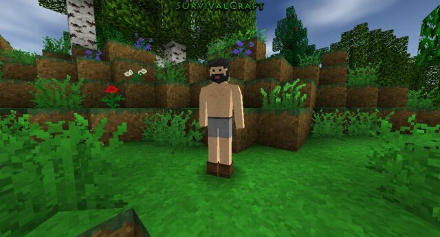 File:Survivalcraft 2014-12-31 12-17-18-.jpg