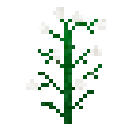 File:Ripe Cotton icon.png