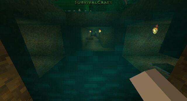 File:Survivalcraft 2015-01-09 17-43-09-.jpg