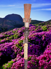 Alejandrotorch copy