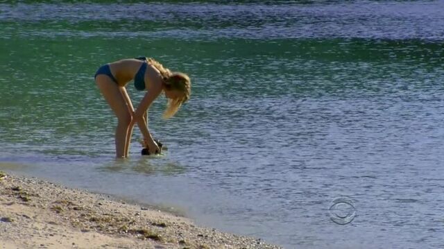 File:Survivor.S27E03.HDTV.x264-LMAO 383.jpg