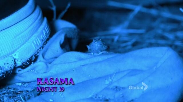 File:Survivor.s27e14.hdtv.x264-2hd 0092.jpg
