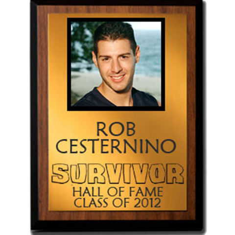 File:Cesterninoplaque.png