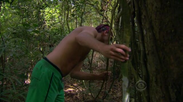 File:Survivor.S27E02.HDTV.x264-LMAO 422.jpg