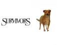 Thumbnail for version as of 21:42, July 18, 2012
