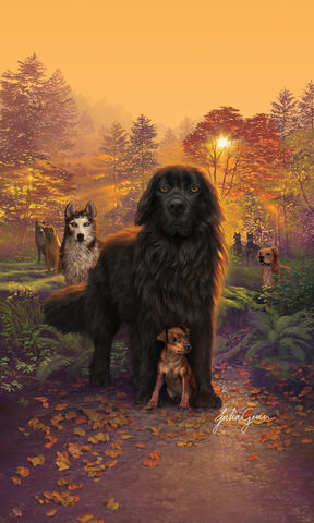 File:DF.textless.jpg