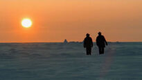Arctic