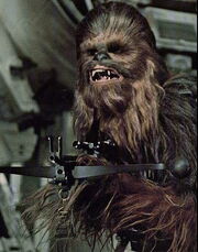 Chewie-Chewbacca1.jpg